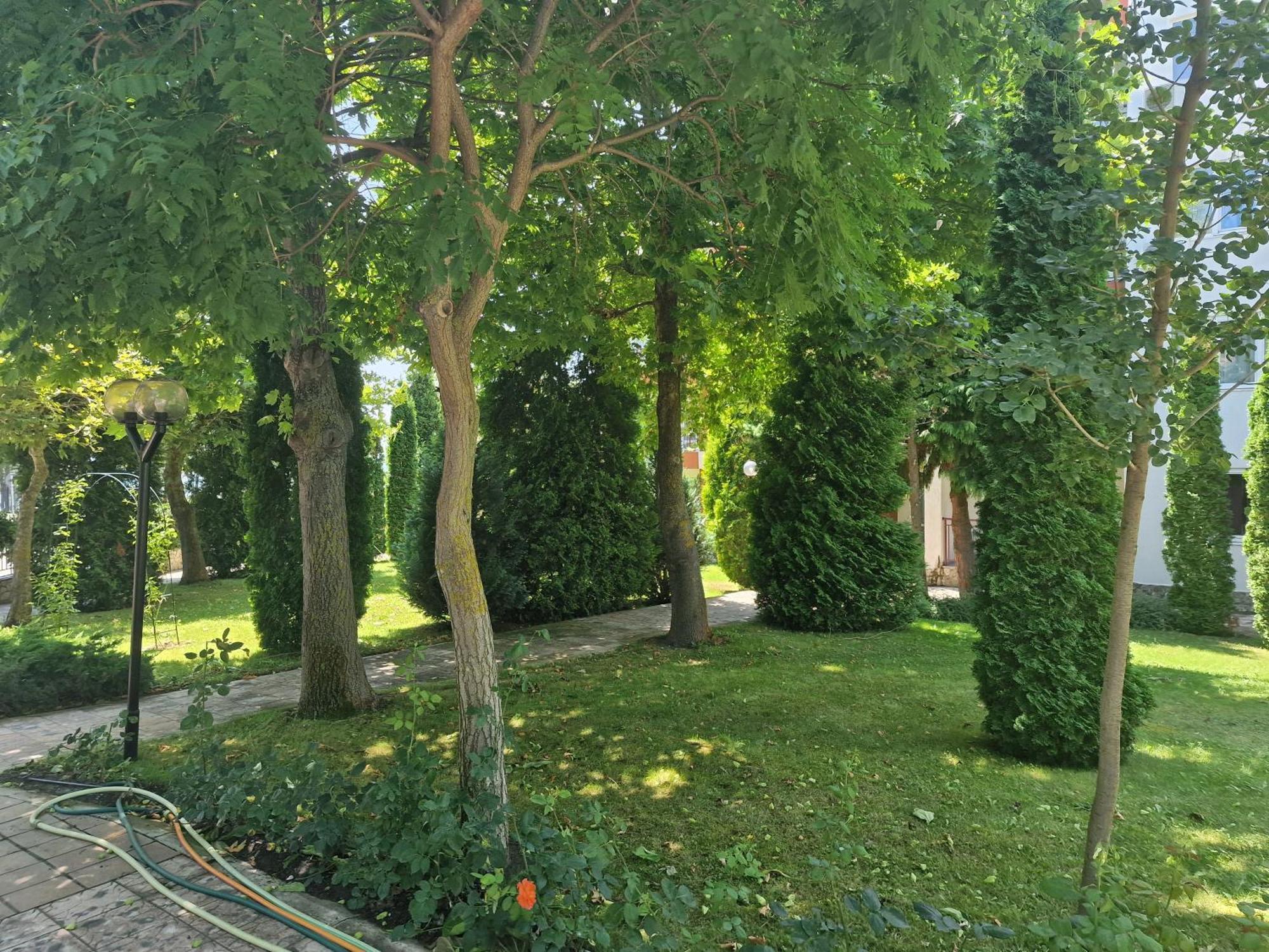 Sloneczny Brzeg Green Fort Noks Studio Exteriör bild